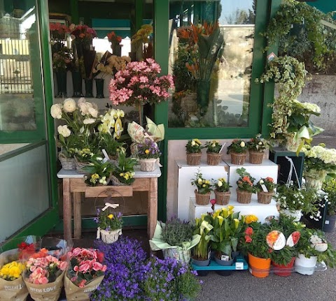 Chiosco I fiori di Federica