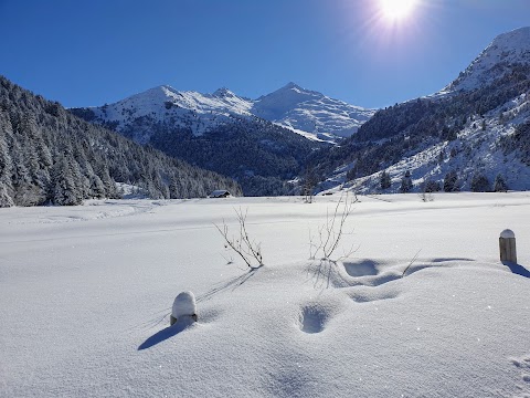 Appartement Chalet Mont-Vallon