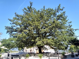 Santuario Maria SS. della Stella