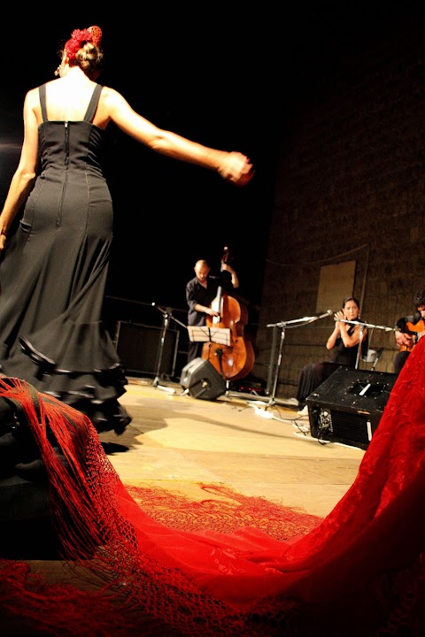 Gruppo di Flamenco Musica e Ballo Live, Andrea Mercati flamenco guitar