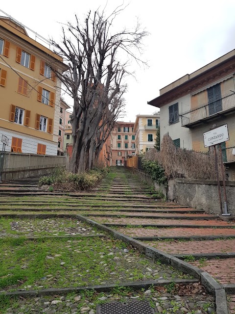 Il Giardino dei Limoni - Room & Apartments