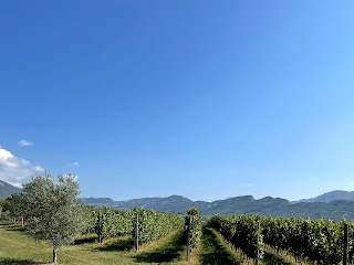 Le Colline di Rivoli