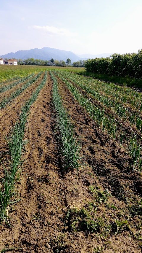 Azienda agricola Rossetto Ezio