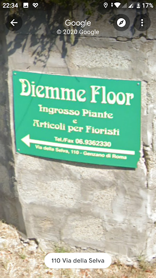 Diemme Floor