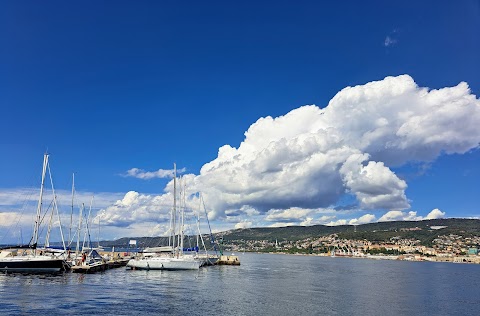 Pier The Roof