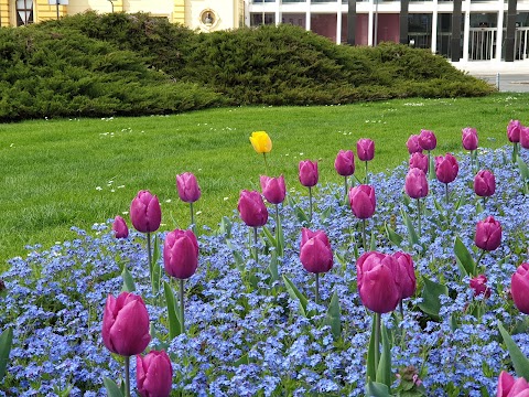 Accademia di arte drammatica dell'Università di Zagabria