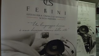 Istituto Fellini