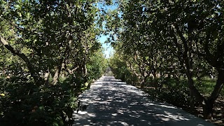 La Spadara Di Castagliuolo Margherita E C. Sas