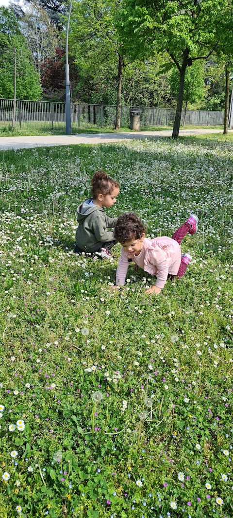 Parco Falcone e Borsellino