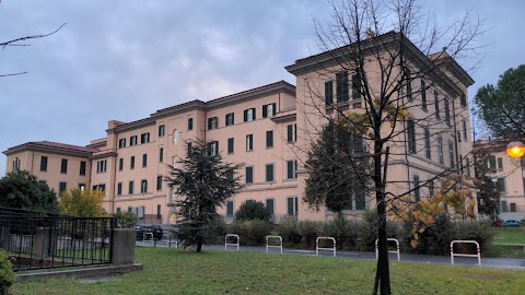 Azienda Ospedaliera San Camillo Forlanini