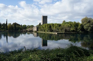 CIRIACI FOTOGRAFI