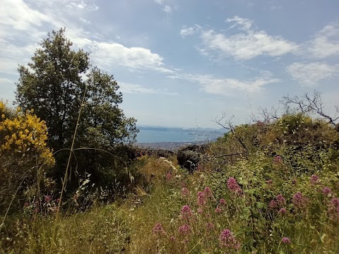 Associazione Vesuvio Natura da Esplorare