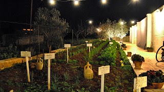 Trattoria "Terra Madre"