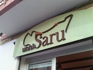 Unni Saru di Rosario Carbonaro