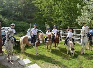 Aragona Arabians Horses Club