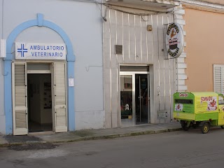 Dr. Pierpaolo Cesario AMBULATORIO VETERINARIO