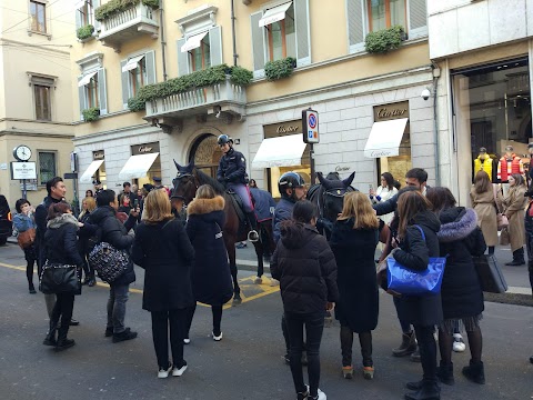 Barber Pisterzi - Milano