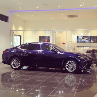 LEXUS MODENA - GRUPPO M