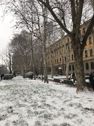 Istituto Comprensivo Statale di via Palmieri, Milano