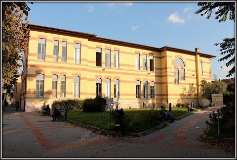 Scuola primaria statale M. Tilli - sede principale Istituto Comprensivo Castelfiorentino