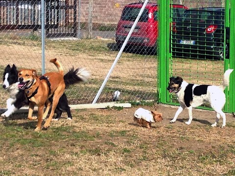 Centro Cinofilo Manu Dog Camp A.S.D.