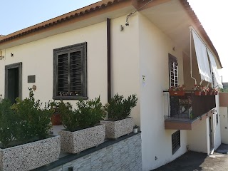 Sylva Mala Home