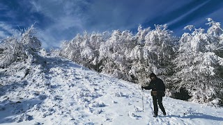 Monte Cervellino