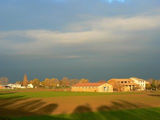 Scuola Primaria Ronco Campo Canneto