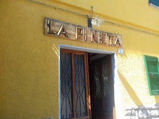 Trattoria La Pineta