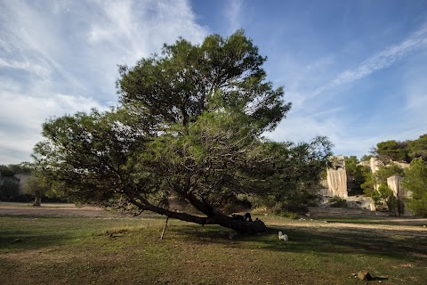 Gravina e Cave di Fantiano