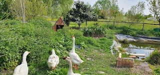 Fattoria Solidale Brugine