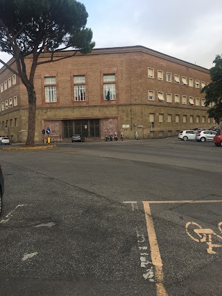 Amministrazione Provinciale Di Firenze