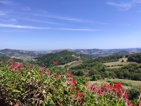 Osteria la Panca