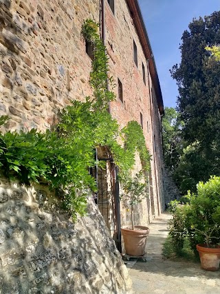 B&B Il Bosso di Toscana