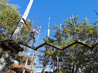 Adventure Park Sky Fox