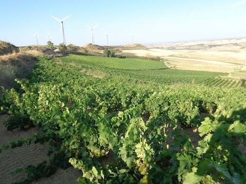 Azienda Agricola Ferreri & Bianco