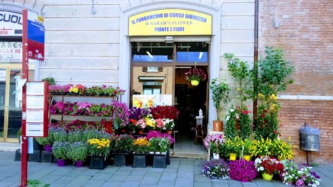 Il Furgoncino Di Corso Giovecca Di Sarah's Flower