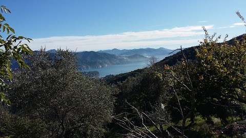 I.c. Santa Margherita Ligure