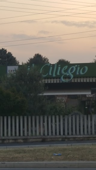 Il Ciliegio Snc di Massimo Pagani