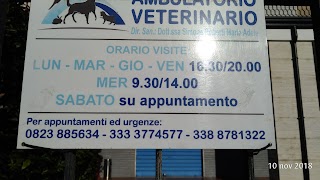 Ambulatorio Veterinario Teano