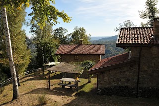 Agriturismo l'Arbo