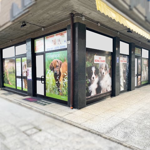 Mondo Animale Pet Shop