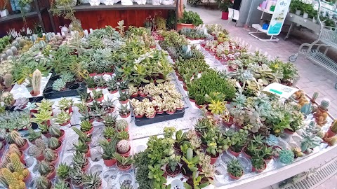 Donnaflora Gardencenter