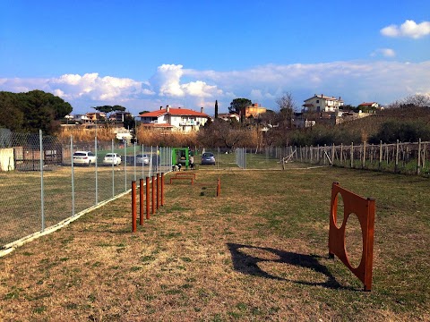 Centro Cinofilo Manu Dog Camp A.S.D.