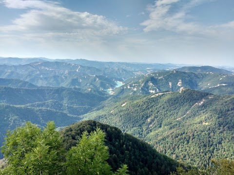 Parco Nazionale delle Foreste Casentinesi, Monte Falterona e Campigna