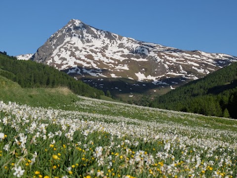 Fugues en Montagne