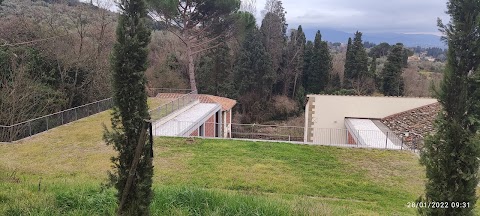 Fondazione Scuola di Musica di Fiesole