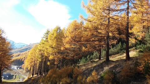 Associazione Maestri di Sci Gran San Bernardo