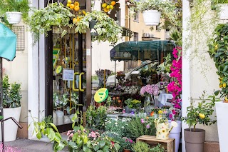 I Fiori di Anna e Azeglio