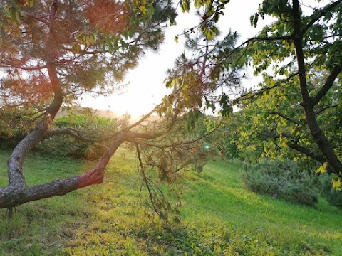 Agriturismo la Torretta